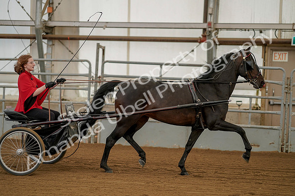 July 20, 2019 - 00251