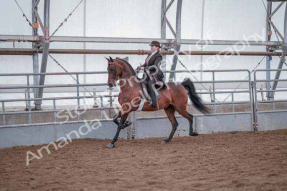 July 20, 2019 - 13787