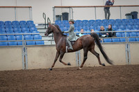 2019 Morgan Horse Show - Aug 31, 2019 - 07668