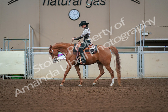 2019 Morgan Horse Show - Aug 30, 2019 - 16789
