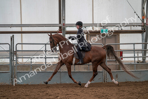July 19, 2019 - 13186
