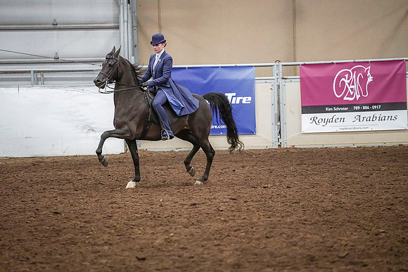 Spring Fling - Saturday - April 20, 2019  -  03916