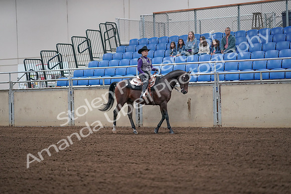 2019 Morgan Horse Show - Aug 31, 2019 - 10769
