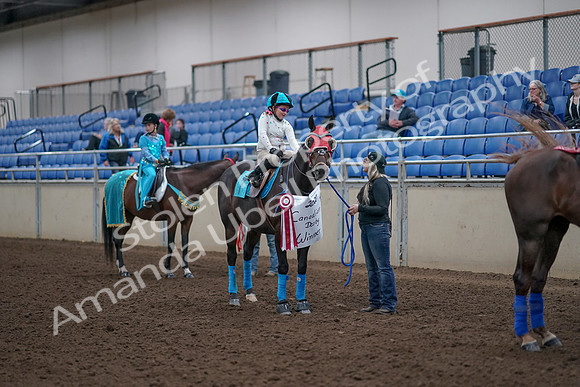 2019 Morgan Horse Show - Aug 31, 2019 - 10138