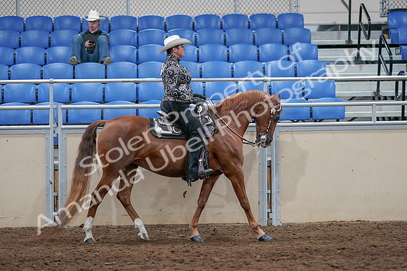 2020 - AB Morgan Horse - Sun, Sept 06 - 07554