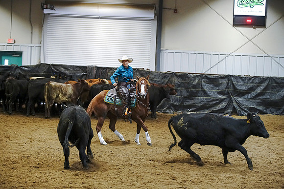 DSC05798
