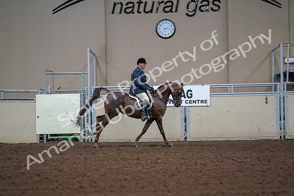 2019 Morgan Horse Show - Aug 30, 2019 - 17596
