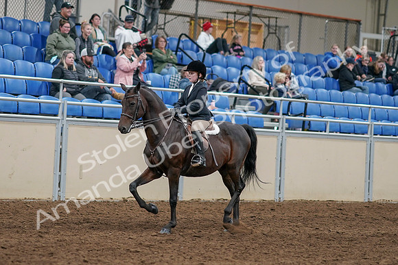 2020 - AB Morgan Horse - Sun, Sept 06 - 07881