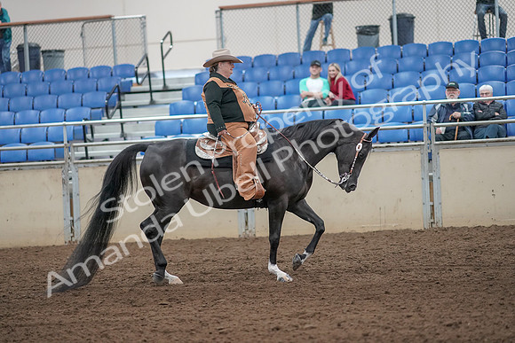 2019 Morgan Horse Show - Aug 31, 2019 - 06210