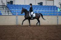 2019 Morgan Horse Show - Aug 30, 2019 - 18300