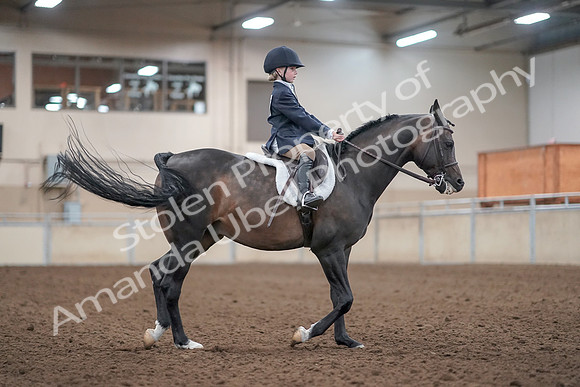 2019 Morgan Horse Show - Aug 31, 2019 - 19676