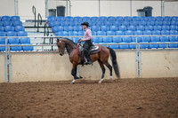 2019 Morgan Horse Show - Aug 30, 2019 - 22692