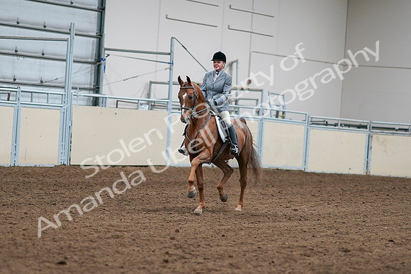 2020 - AB Morgan Horse - Sat, Sept 05 - 03239