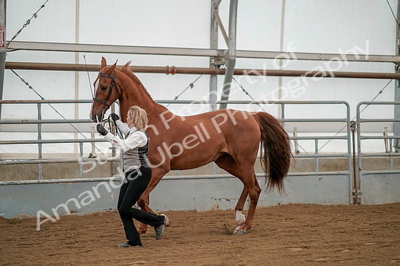 July 19, 2019 - 1347
