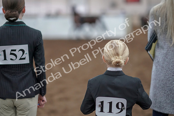 2019 Morgan Horse Show - Aug 31, 2019 - 03930