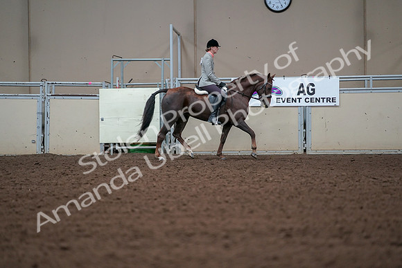 2019 Morgan Horse Show - Aug 30, 2019 - 18503