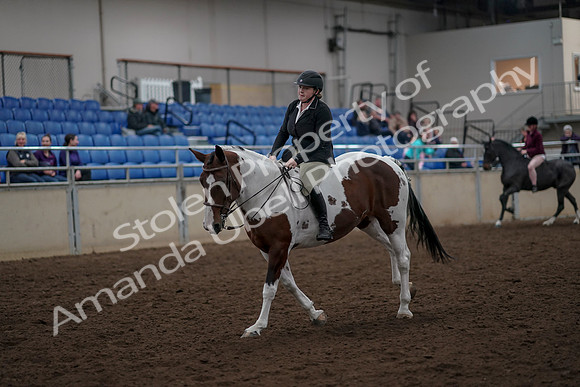 2019 Morgan Horse Show - Aug 30, 2019 - 31285