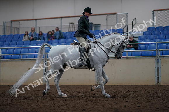 2019 Morgan Horse Show - Aug 31, 2019 - 16146