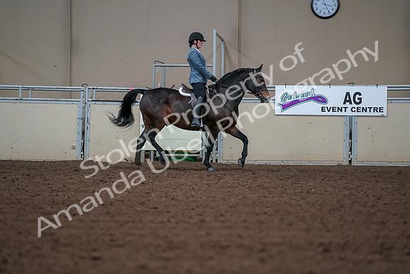 2019 Morgan Horse Show - Aug 30, 2019 - 18525
