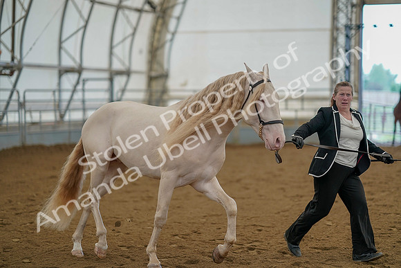 July 19, 2019 - 1155