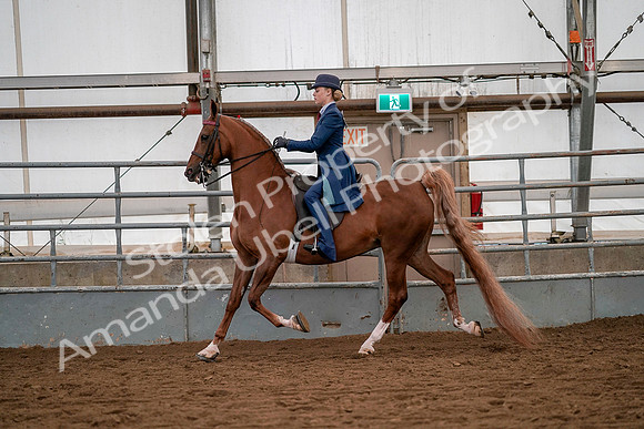 July 19, 2019 - 10251