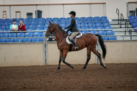 2019 Morgan Horse Show - Aug 31, 2019 - 04823
