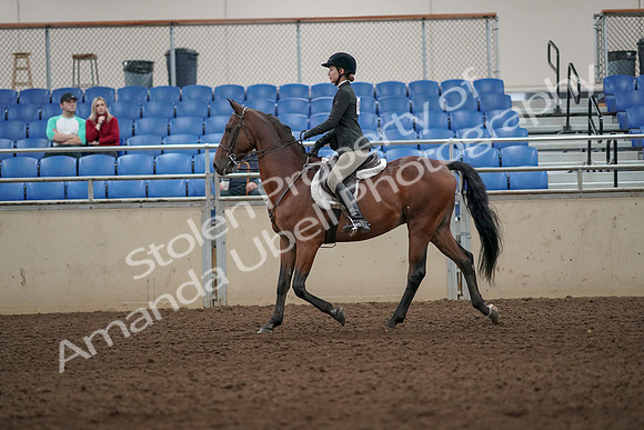 2019 Morgan Horse Show - Aug 31, 2019 - 04823