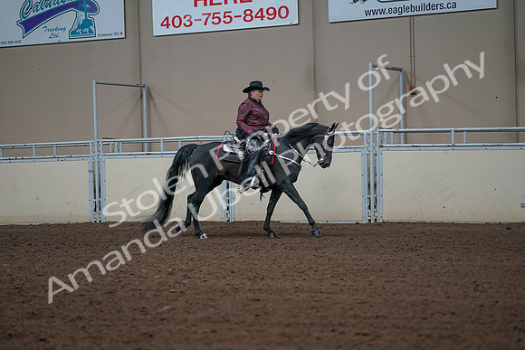 2019 Morgan Horse Show - Aug 31, 2019 - 10712