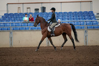 2019 Morgan Horse Show - Aug 31, 2019 - 04828