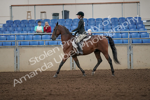 2019 Morgan Horse Show - Aug 31, 2019 - 04828
