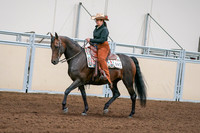 2020 - AB Morgan Horse - Sun, Sept 06 - 01552