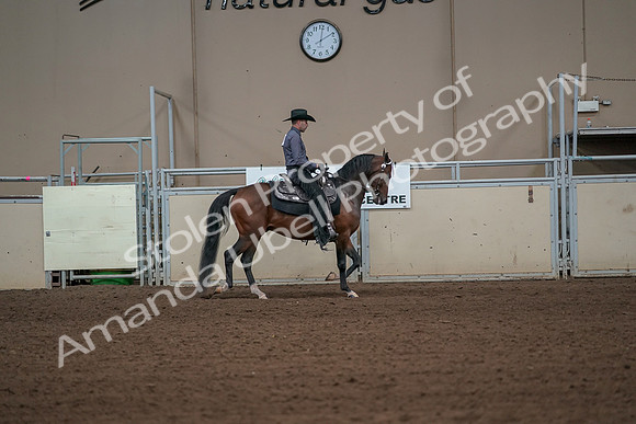 2019 Morgan Horse Show - Aug 31, 2019 - 06176