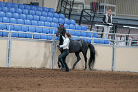 2020 - AB Morgan Horse - Sat, Sept 05 - 00040