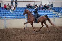 2019 Morgan Horse Show - Aug 31, 2019 - 20359
