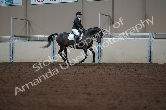 2019 Morgan Horse Show - Aug 30, 2019 - 18630