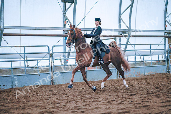 July 20, 2019 - 23804