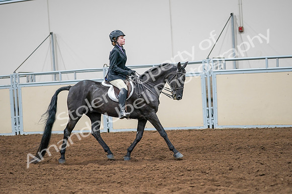 2020 - AB Morgan Horse - Sun, Sept 06 - 08045