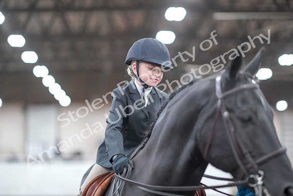 2019 Morgan Horse Show - Aug 31, 2019 - 19753