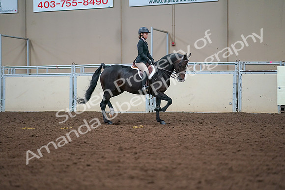 2019 Morgan Horse Show - Aug 30, 2019 - 20765