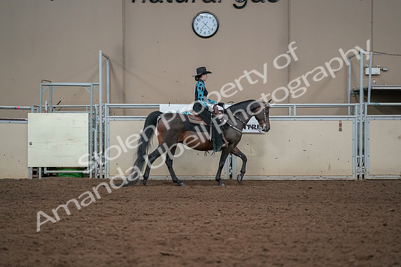 2019 Morgan Horse Show - Aug 30, 2019 - 26136