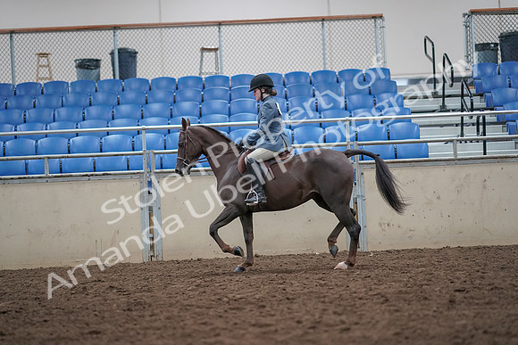 2019 Morgan Horse Show - Aug 31, 2019 - 16631
