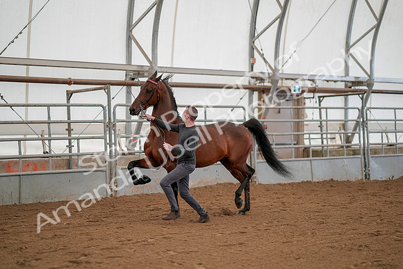 July 19, 2019 - 1166