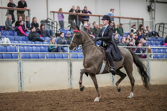 Spring Fling - Saturday - April 20, 2019  -  04122