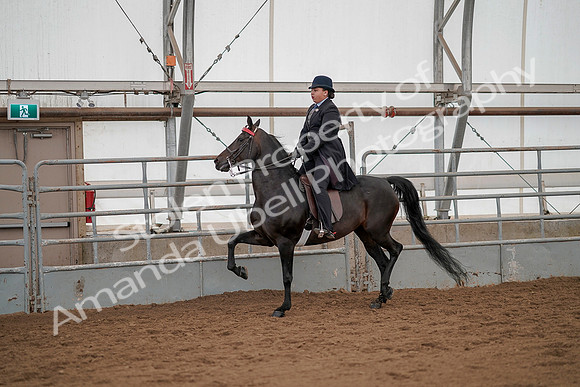 July 20, 2019 - 04485