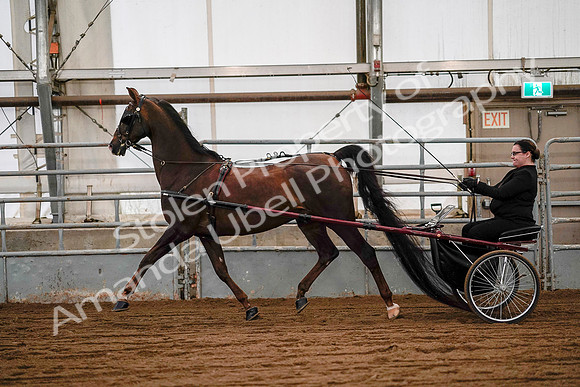 July 19, 2019 - 7054