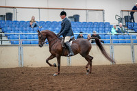 2019 Morgan Horse Show - Aug 30, 2019 - 17252