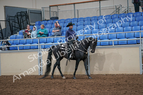 2020 - AB Morgan Horse - Sun, Sept 06 - 07528