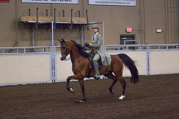 _P3A0048