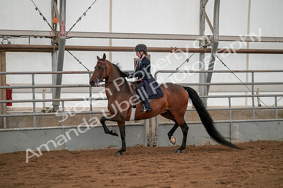 July 19, 2019 - 3797
