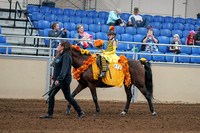 2020 - AB Morgan Horse - Sat, Sept 05 - 05769
